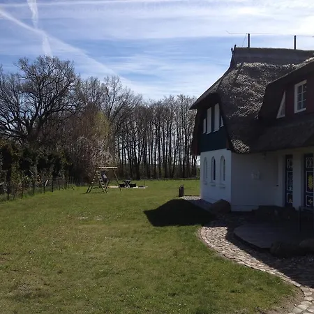 Auster Am Bodden *
