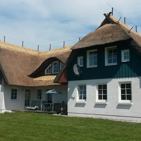 Auster Am Bodden