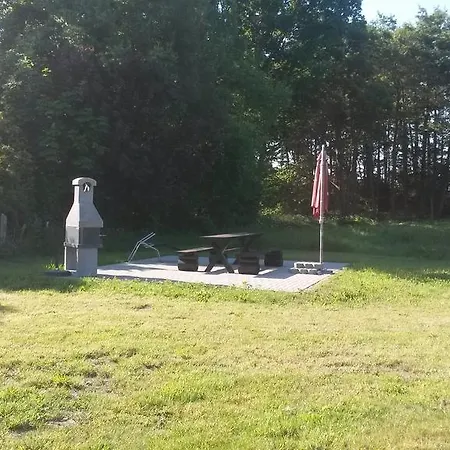Auster Am Bodden *