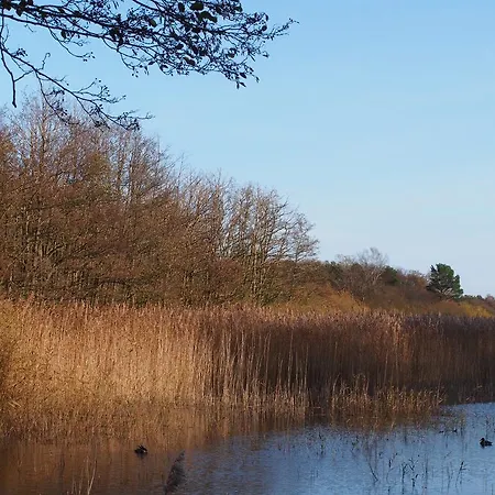 Apartman Auster Am Bodden